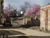 Imagine atasata: Bastion Eugen - 2015.04.03 - 05.jpg